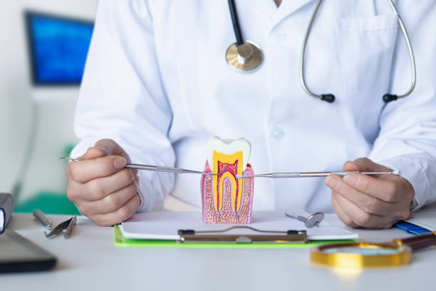 Best Emergency Dental Care for Broken or Chipped Teeth in Daniels, WV